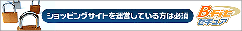 格安の低価格SSLレンタルサーバー