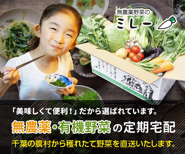 1800pt→〈2080pt〉朝穫れの新鮮野菜を当日発送【無農薬野菜ミレー】利用モニター
