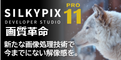 SILKYPIX Developer Studio Pro10のポイント対象リンク