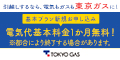 東京ガスの新電力サービス（基本プラン）