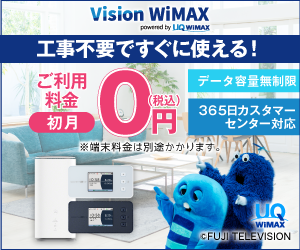 WiMAX/Vision WiMAX