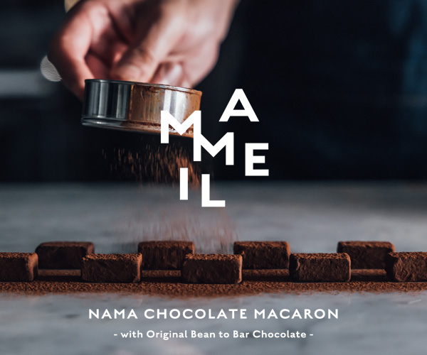 MAMEIL NAMA CHOCOLATE MACARON