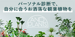 AND PLANTS（アンドプランツ）観葉植物通販