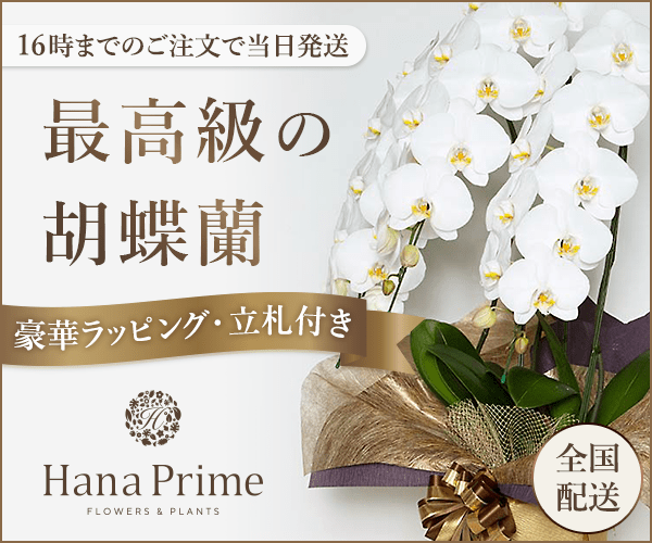 【2/23】ハナプライム(Hana Prime）のクーポン取得方法やキャンペーン情報まとめ