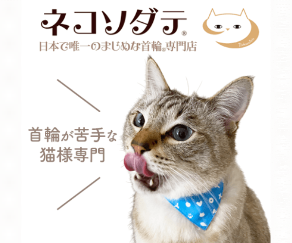 首輪が苦手な猫様専門！日本で唯一のまじめな首輪専門店【ネコソダテ】